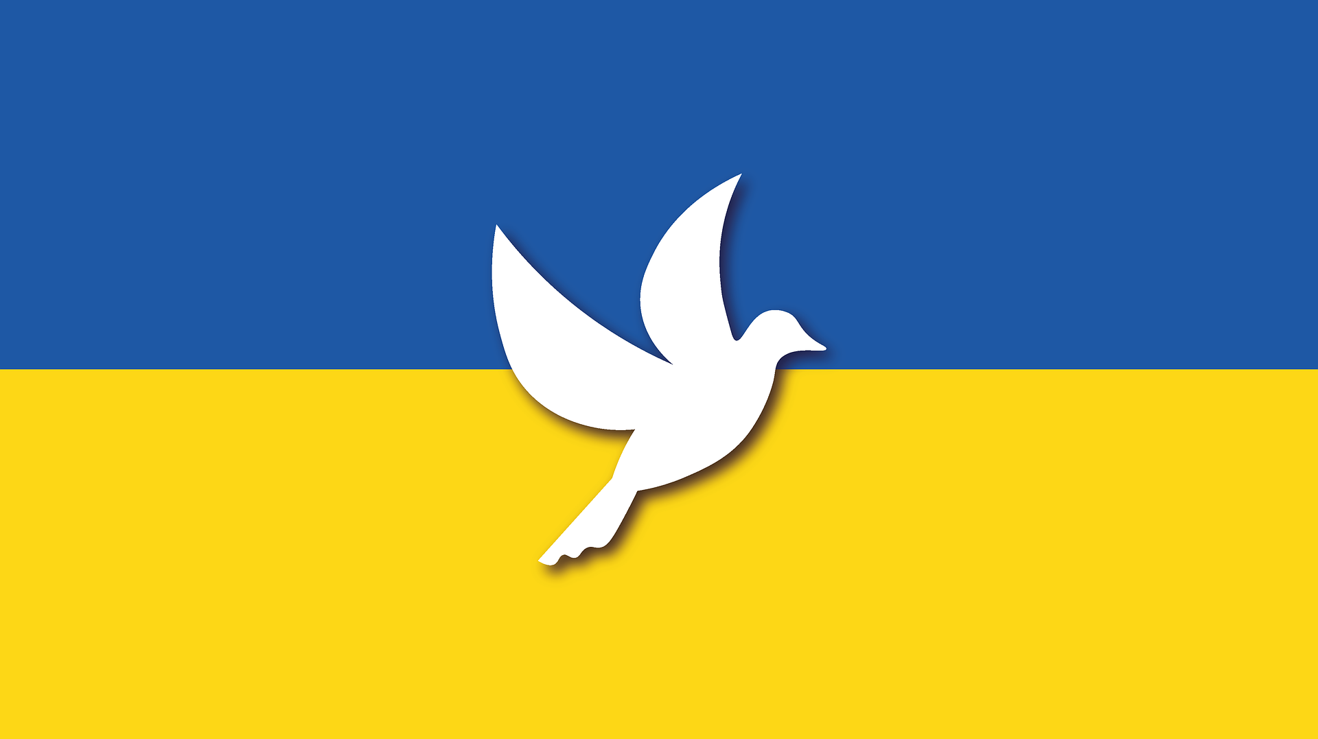 Flagge der Ukraine mit Friedenstaube